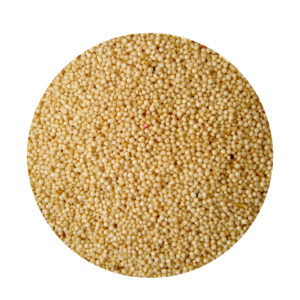 Kiwicha – Amaranto