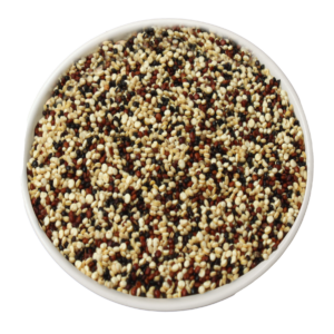 Quinua Tricolor